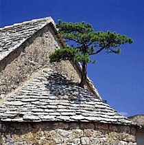 Brac vieille église en pierre