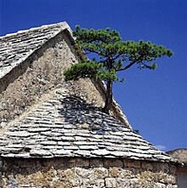 Brac old stone church